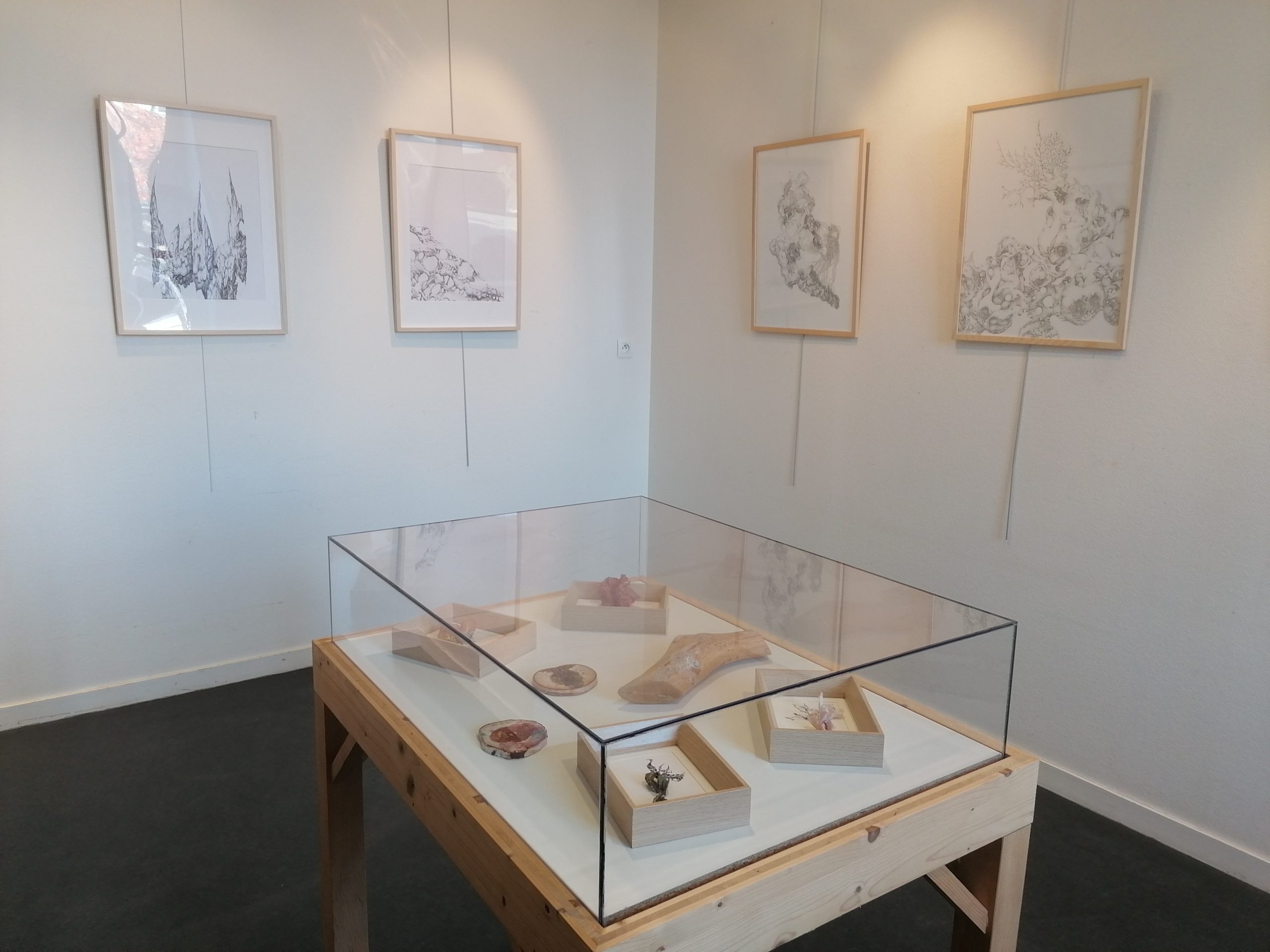 Exposition – Maud Boulet